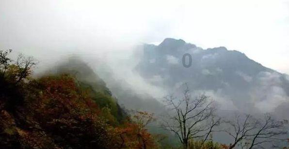 周栩可《如梦令·元旦》：万丈红尘一壶茶