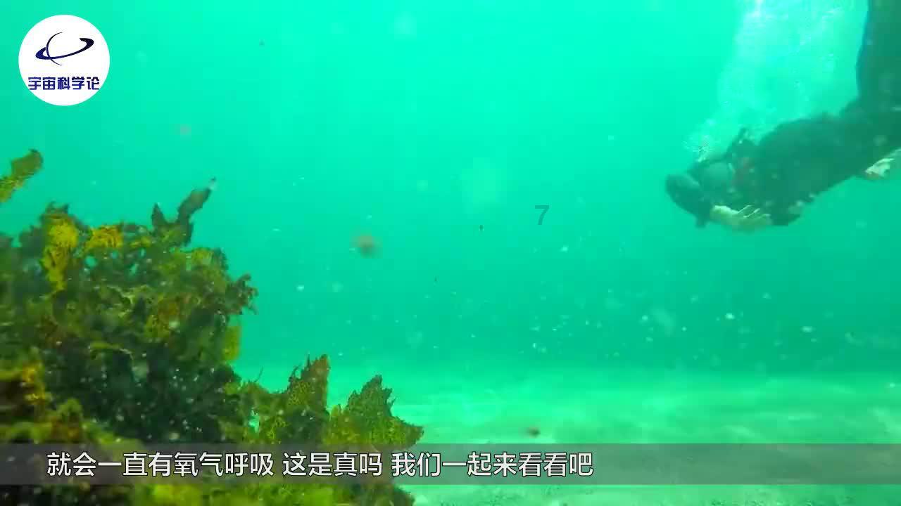 解决问题,尽在你为什么会爱上冬天?